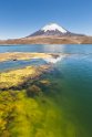 040 Lauca NP